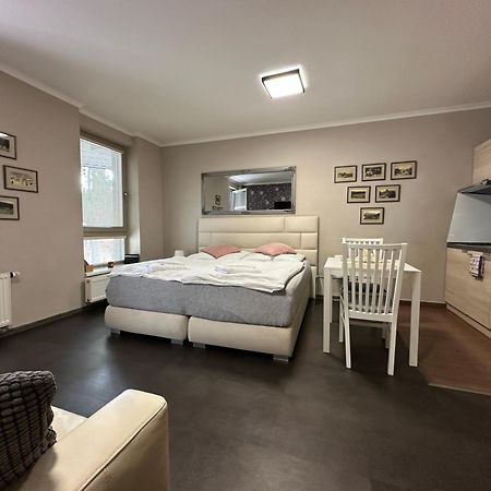 Harrachov Resident Apartments "Terrace & Chill" - High Speed Wifi, Smart Tv, Netflix, Disney Plus Extérieur photo
