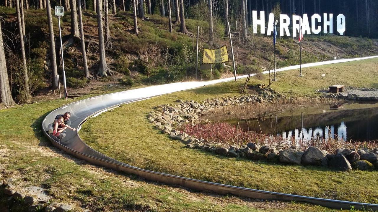 Harrachov Resident Apartments "Terrace & Chill" - High Speed Wifi, Smart Tv, Netflix, Disney Plus Extérieur photo
